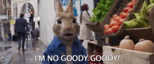 im no goody goody rebel bad naughty peter rabbit