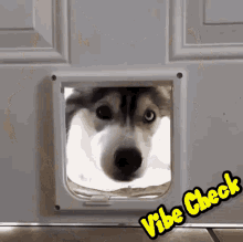 Vibe Check Cute GIF - Vibe Check Cute Dog GIFs