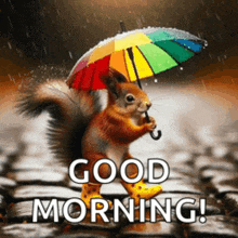 a squirrel is holding a rainbow colored umbrella in the rain and says good morning .