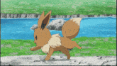 eevee is walking in front of a river