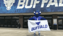 Buffalo Bulls Victor E Bull GIF - Buffalo Bulls Victor E Bull Bulls GIFs