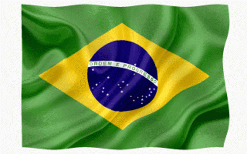 bandeira-do-brasil-brazil.gif