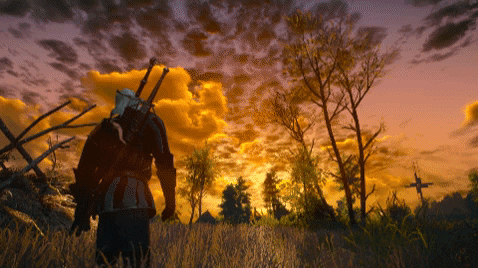 The Witcher GIF - The witcher - Discover & Share GIFs