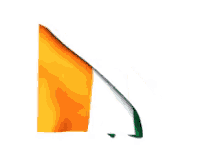 Côte D’ivoire GIF - Cotedivoire Flag GIFs