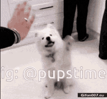 a picture of a dog with the hashtag @pupstime on it