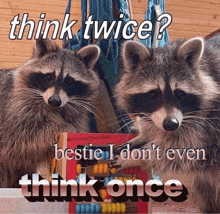 two raccoons standing next to each other with the words think twice bestie i don t even think once