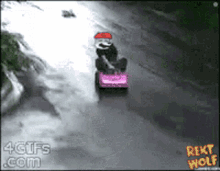 Rekt Wolf Kart Crash GIF