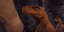 a close up of a dinosaur 's head with a dark background