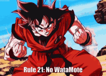 rule21 goku