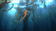 Seahorse Jungle GIF - Saltylove Kelpforest Seahorse GIFs