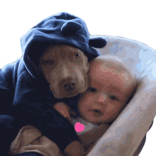 swing the pet collective hugging baby dog love