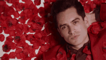 Chill Roses GIF - Chill Roses Stare GIFs
