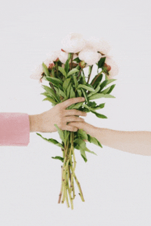 Flowers Accept GIF - Flowers Accept For You GIFs