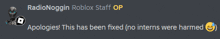 a screenshot of a discord conversation between radionoggin and roblox staff op