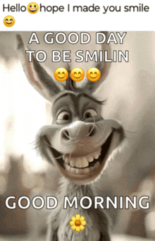 a picture of a donkey smiling with the words " a good day to be smilin "