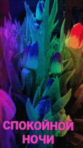 a bunch of colorful flowers with the words " спокойной ночи " above them