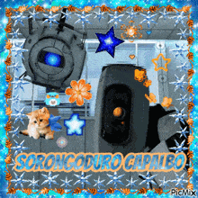 a picture of a camera with the words ' sorongoduro capilbo ' on the bottom