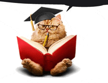 a cat wearing a graduation cap and glasses is reading a red book