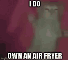 I Do Own An Air Fryer Clearly You Dont Own An Air Fryer GIF - I Do Own An Air Fryer Clearly You Dont Own An Air Fryer GIFs