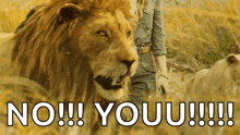 a woman standing next to a lion with the words no youu written on the bottom