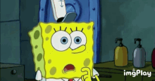 Spongebob Squarepants You Do Like Krabby Patties GIF - Spongebob Squarepants You Do Like Krabby Patties Squidward GIFs