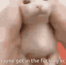 Rayne Rayne Get In The Fucking Vc GIF - Rayne Rayne Get In The Fucking Vc Bingus Rayne Now GIFs