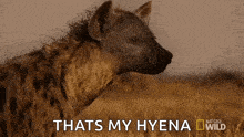 a hyena is standing in a field with the words thats my hyena behind it