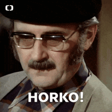 a man with glasses and a mustache says horko on his face