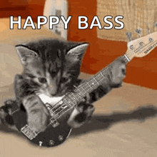 2seokerrr Cat GIF - 2seokerrr Cat Guitar GIFs