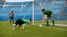 Goal The Pack GIF - Goal The Pack Dog Play GIFs
