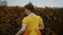Mario Daisy GIF - Mario Daisy Rtgame GIFs