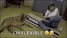 Flexible Better Than You GIF - Flexible Better Than You Dog GIFs