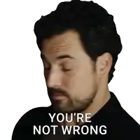 a man with a beard has his eyes closed and says you 're not wrong