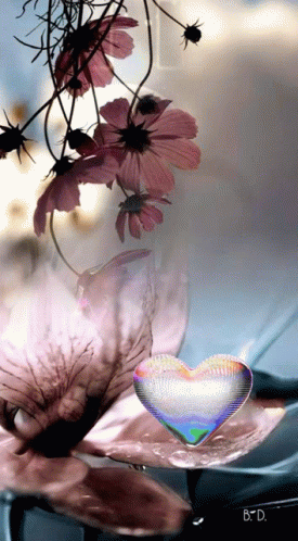 Life Is Beautiful GIF - Life Is Beautiful - Discover & Share GIFs