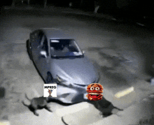 a picture of a car with two dogs and a trophy that says mpreg