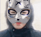 a person wearing a cat mask with a hood on their head .