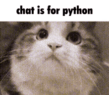 Discord Python GIF - Discord Python Programming GIFs
