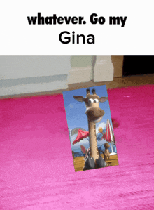 a picture of a giraffe on a pink rug with whatever go my gina written below it