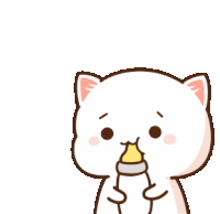Milk Cat Sticker - Milk Cat Animated Stickers
