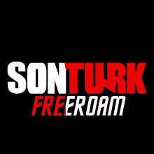 Fivem Sonturk GIF - Fivem Sonturk Freeroam GIFs