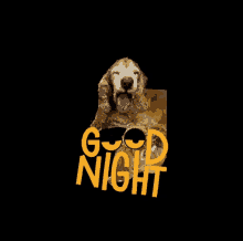 Good Night GIF - Good Night Montysedits GIFs
