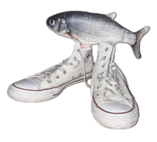 a pair of converse shoes with a fish on top of them
