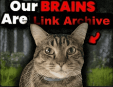 a picture of a cat with the words " our brains are link archive " behind it