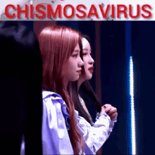 wjsn chismosavirus