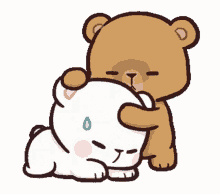 milk and mocha cute adorable comfort bears