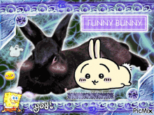 a picture of a black bunny with the words funny bunny written above it