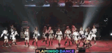 Flamingo Dance Krishada GIF - Flamingo Dance Krishada Bnk GIFs