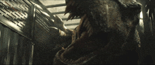 a close up of a dinosaur in a cage with its mouth open