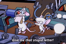 Pinky And The Brain Give Me That Stupid Letter GIF - Pinky And The Brain The Brain Give Me That Stupid Letter GIFs