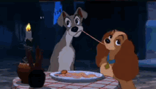 Lady And The Tramp Date GIF - Lady And The Tramp Date Dogs GIFs
